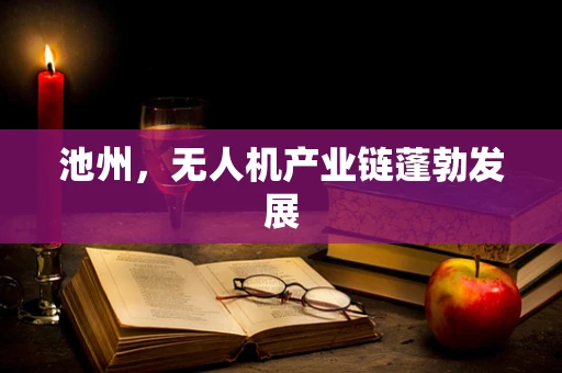 池州，无人机产业链蓬勃发展