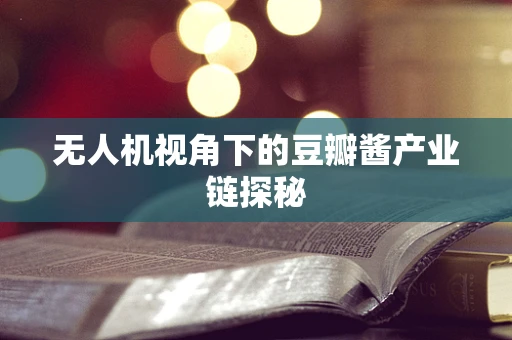 无人机视角下的豆瓣酱产业链探秘