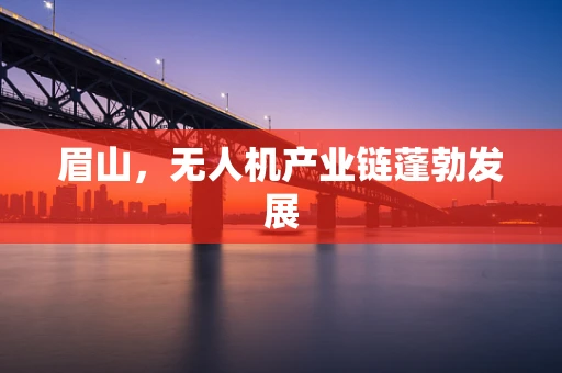 眉山，无人机产业链蓬勃发展
