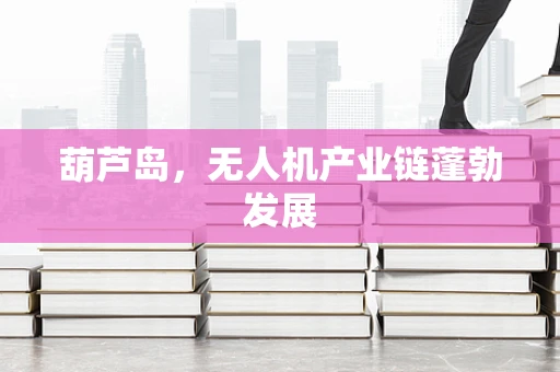 葫芦岛，无人机产业链蓬勃发展