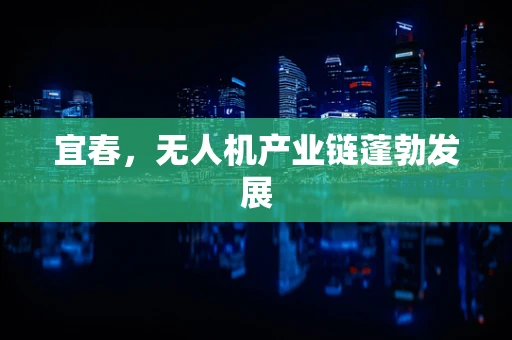 宜春，无人机产业链蓬勃发展