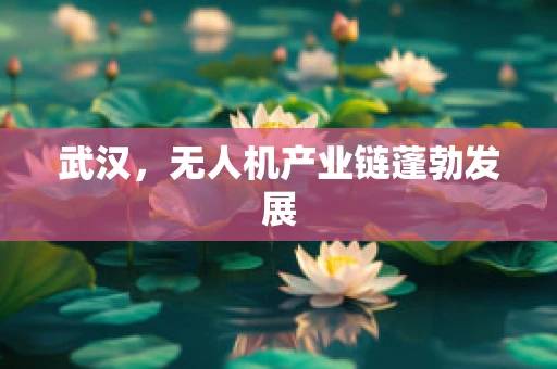 武汉，无人机产业链蓬勃发展