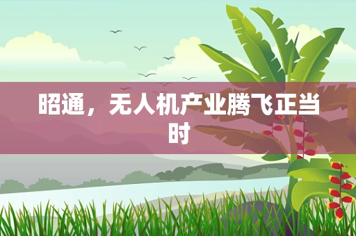 昭通，无人机产业腾飞正当时