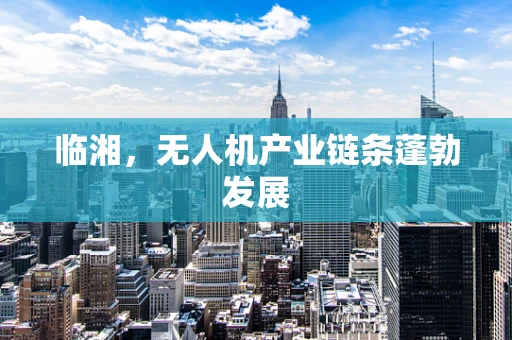 临湘，无人机产业链条蓬勃发展