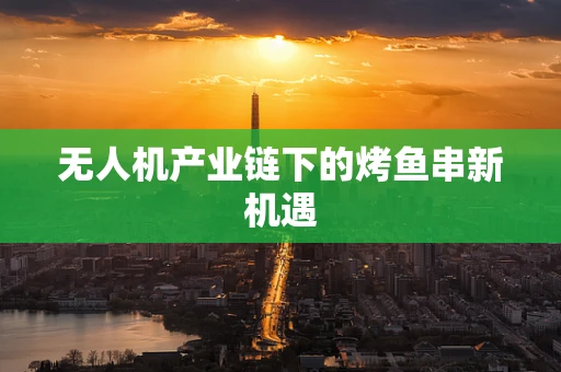 无人机产业链下的烤鱼串新机遇