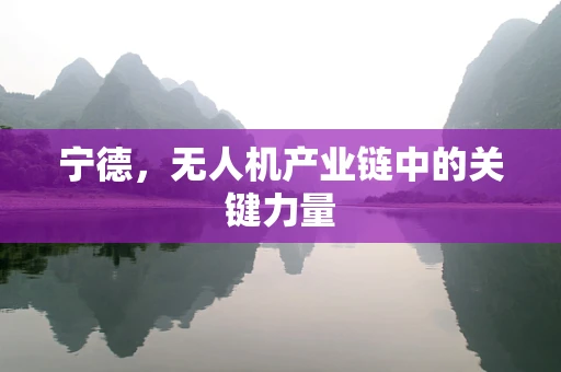 宁德，无人机产业链中的关键力量