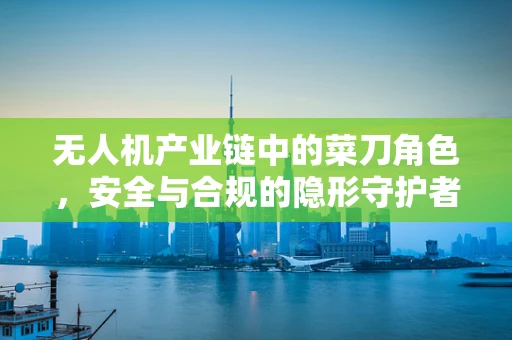 无人机产业链中的菜刀角色，安全与合规的隐形守护者？