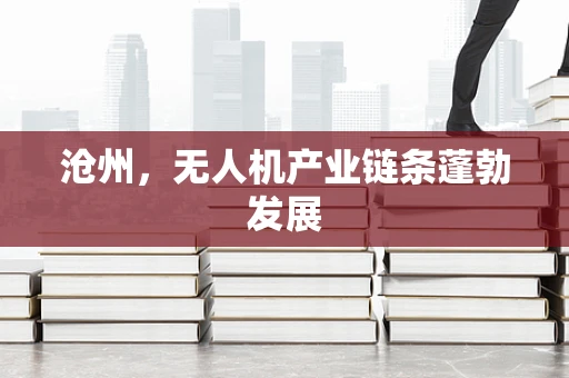 沧州，无人机产业链条蓬勃发展