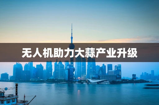 无人机助力大蒜产业升级