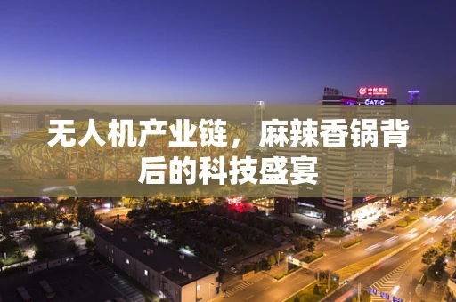 无人机产业链，麻辣香锅背后的科技盛宴