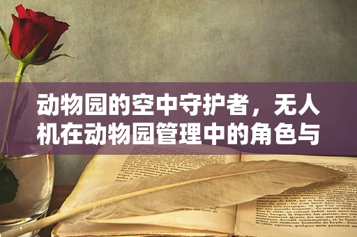 动物园的空中守护者，无人机在动物园管理中的角色与挑战