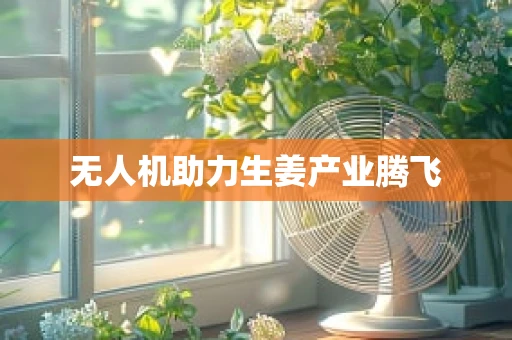 无人机助力生姜产业腾飞