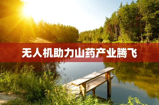无人机助力山药产业腾飞