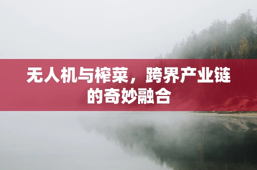 无人机与榨菜，跨界产业链的奇妙融合