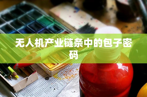 无人机产业链条中的包子密码
