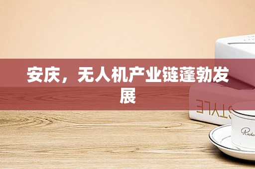 安庆，无人机产业链蓬勃发展