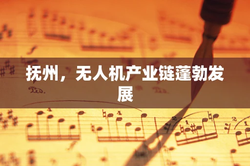 抚州，无人机产业链蓬勃发展