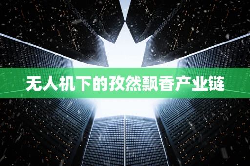 无人机下的孜然飘香产业链
