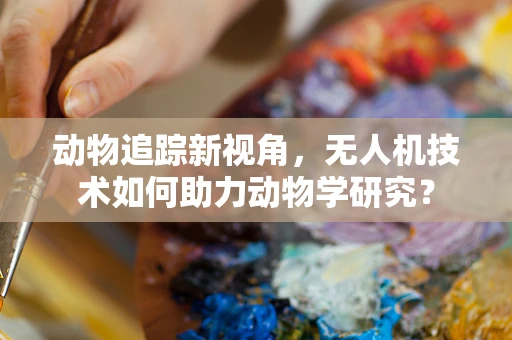 动物追踪新视角，无人机技术如何助力动物学研究？
