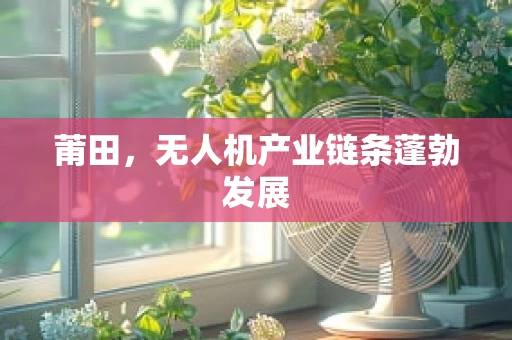 莆田，无人机产业链条蓬勃发展