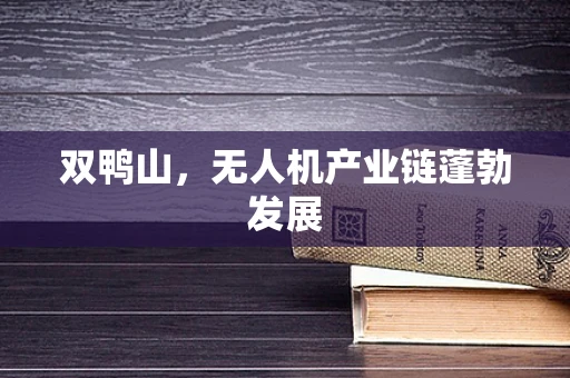 双鸭山，无人机产业链蓬勃发展