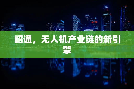 昭通，无人机产业链的新引擎