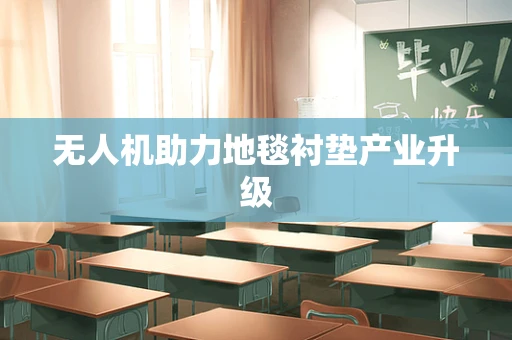 无人机助力地毯衬垫产业升级