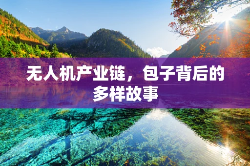 无人机产业链，包子背后的多样故事