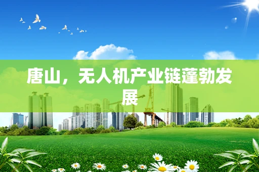 唐山，无人机产业链蓬勃发展