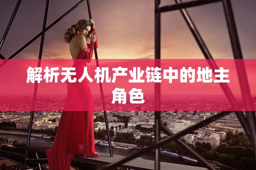解析无人机产业链中的地主角色