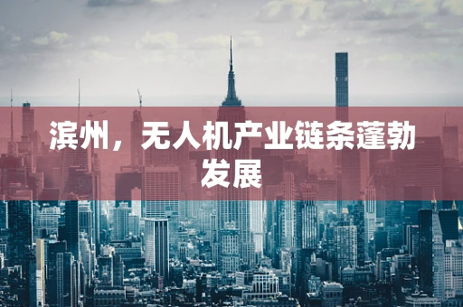 滨州，无人机产业链条蓬勃发展