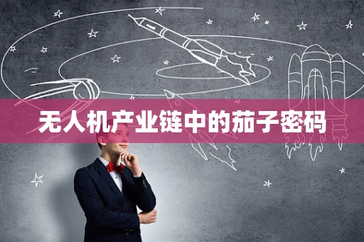 无人机产业链中的茄子密码