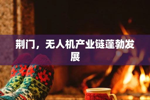 荆门，无人机产业链蓬勃发展