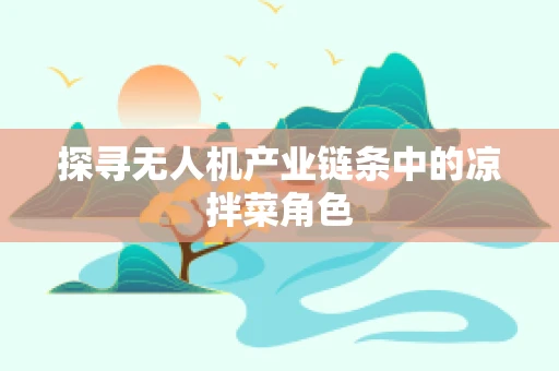 探寻无人机产业链条中的凉拌菜角色