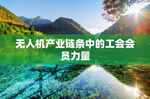 无人机产业链条中的工会会员力量