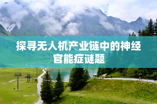探寻无人机产业链中的神经官能症谜题