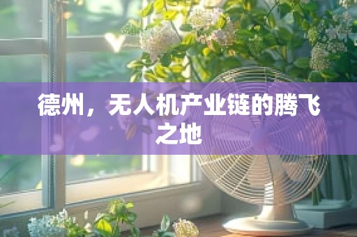 德州，无人机产业链的腾飞之地