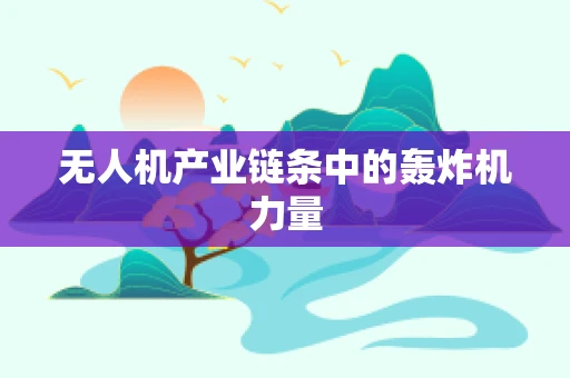 无人机产业链条中的轰炸机力量