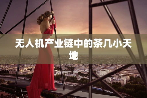 无人机产业链中的茶几小天地
