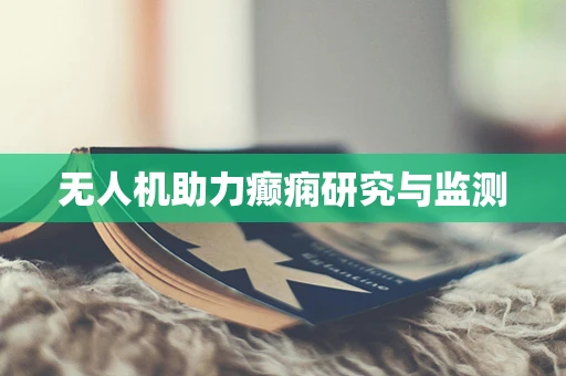 无人机助力癫痫研究与监测