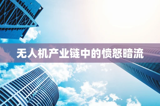 无人机产业链中的愤怒暗流