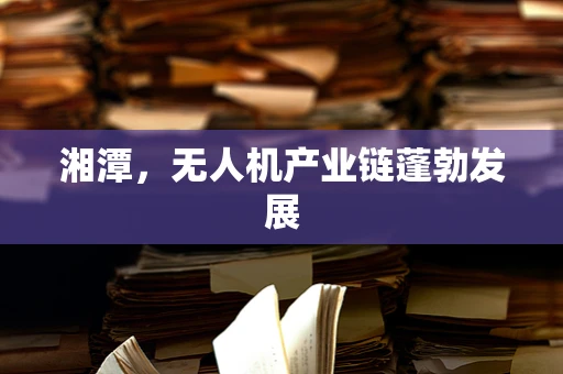 湘潭，无人机产业链蓬勃发展