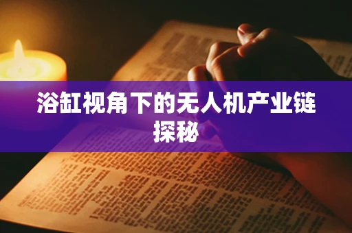 浴缸视角下的无人机产业链探秘