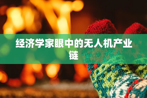 经济学家眼中的无人机产业链