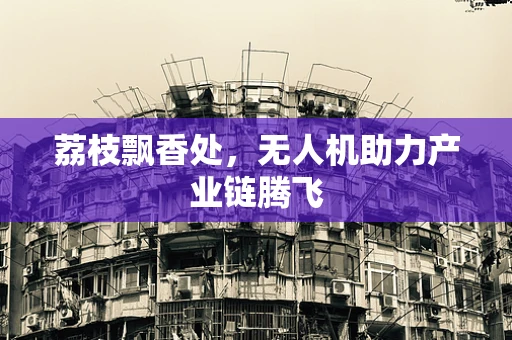 荔枝飘香处，无人机助力产业链腾飞