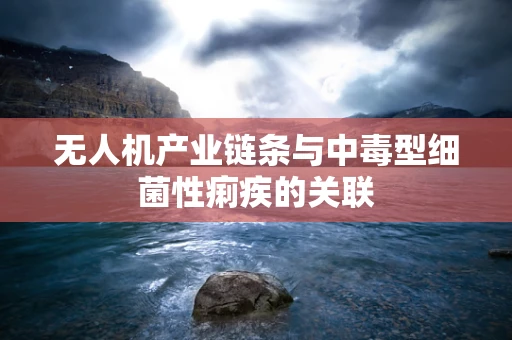 无人机产业链条与中毒型细菌性痢疾的关联