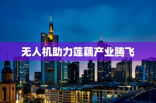 无人机助力莲藕产业腾飞