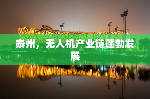 泰州，无人机产业链蓬勃发展