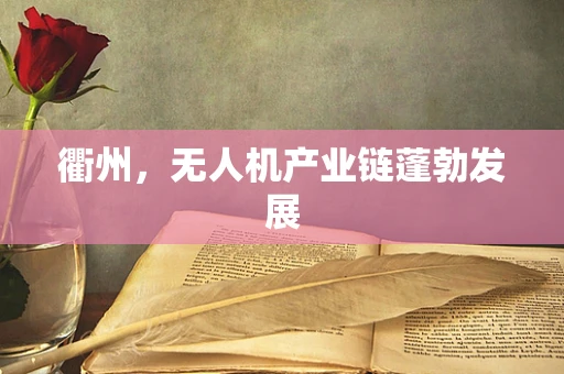 衢州，无人机产业链蓬勃发展