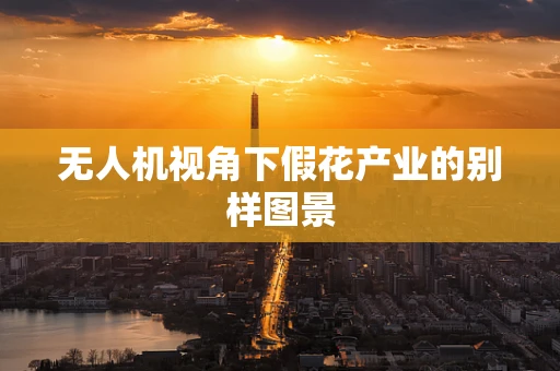 无人机视角下假花产业的别样图景